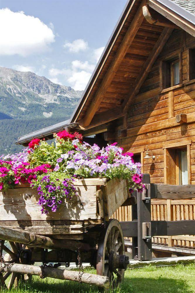Chalet Teo E Marianna Бормио Екстериор снимка